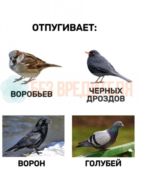 Отпугиватель птиц Сокол БИОС